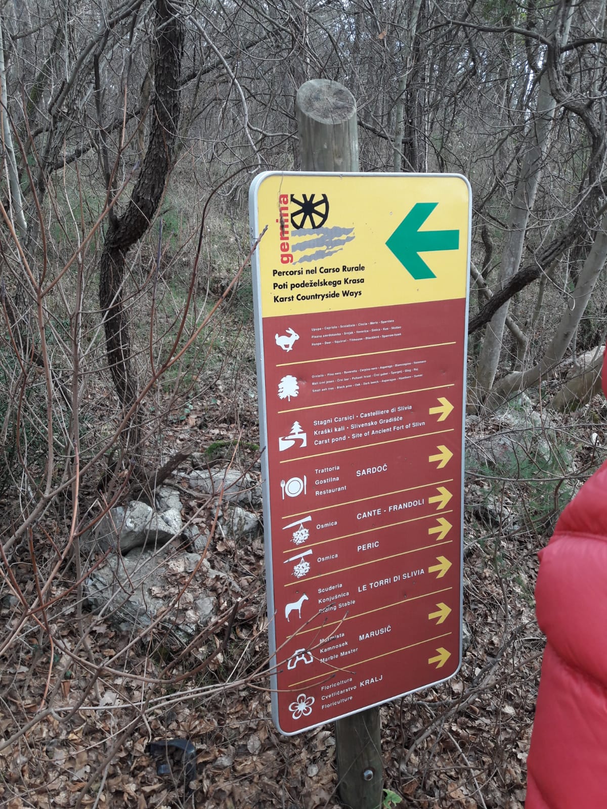 Sulle tracce della via Gemina, che collegava Aquileia con Lubiana