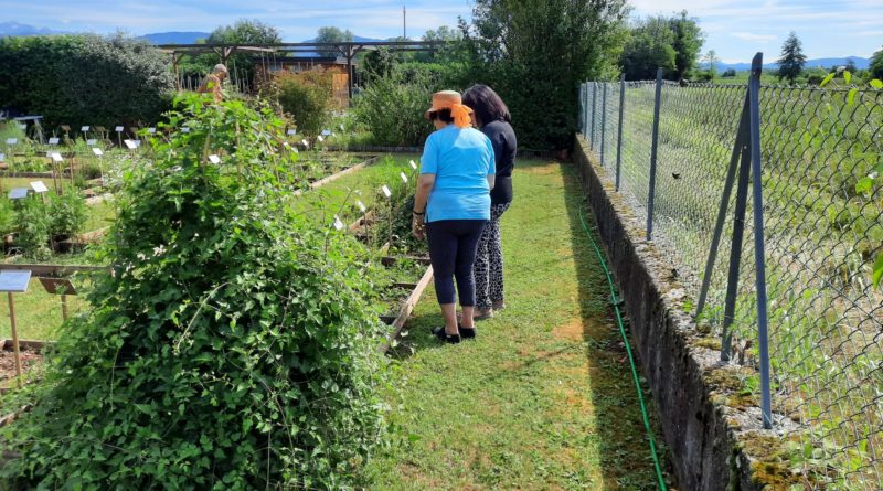 Alcuni cittadini interessati al nostro orto botanico