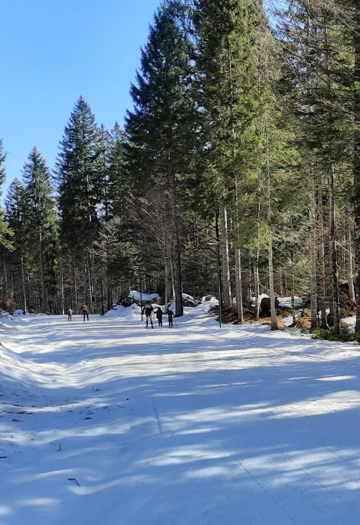 La pista di Pradibosco in Val Pesarina