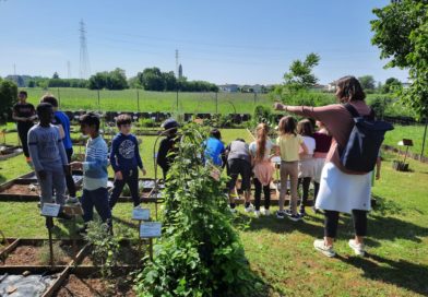 1 - Il settore delle piante alimentari, con il primo gruppo