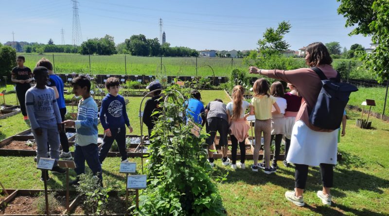 1 - Il settore delle piante alimentari, con il primo gruppo