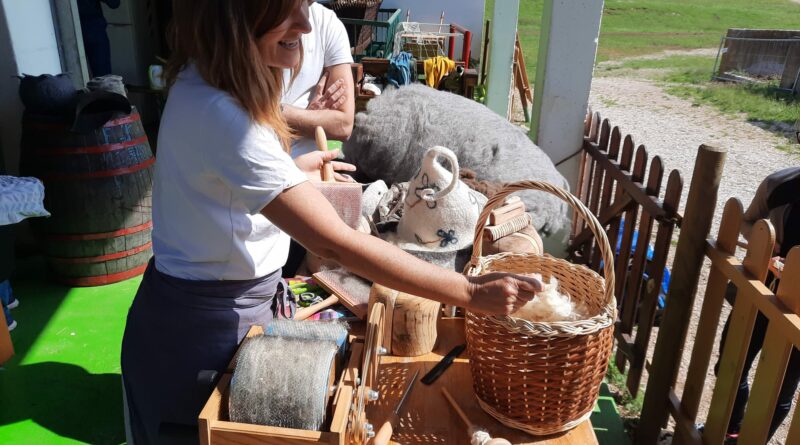 1 - La pettinatura della lana appena tosata