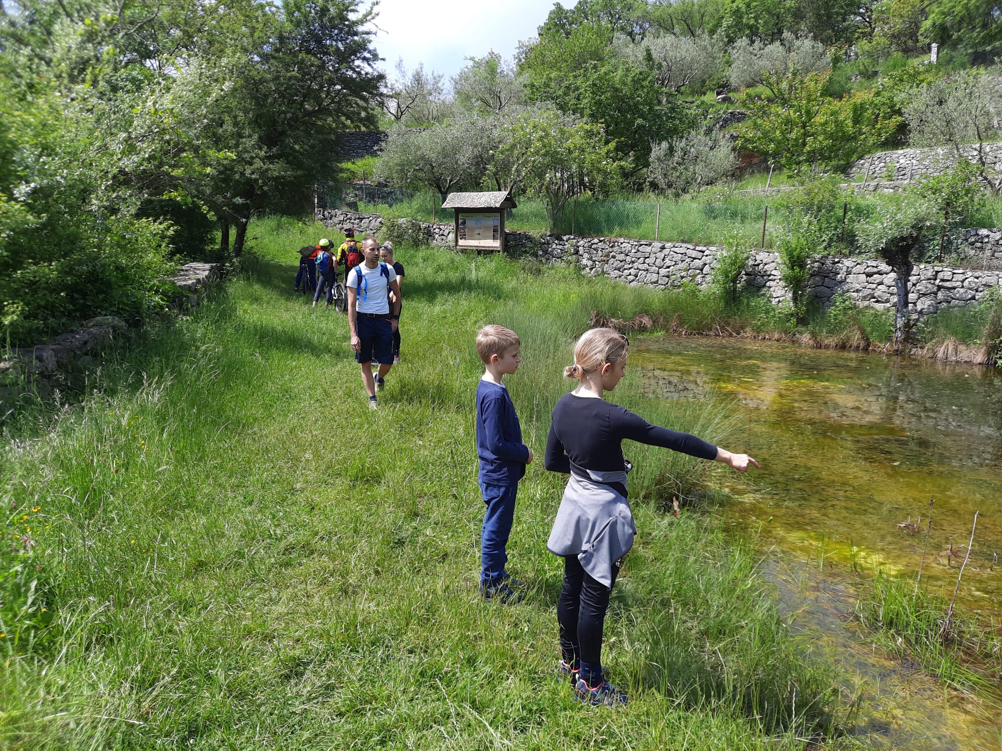 4 - Interesse dei bambini per gli stagni pieni di rane