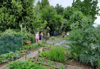 Quattro passi nella sezione dell'orto urbano