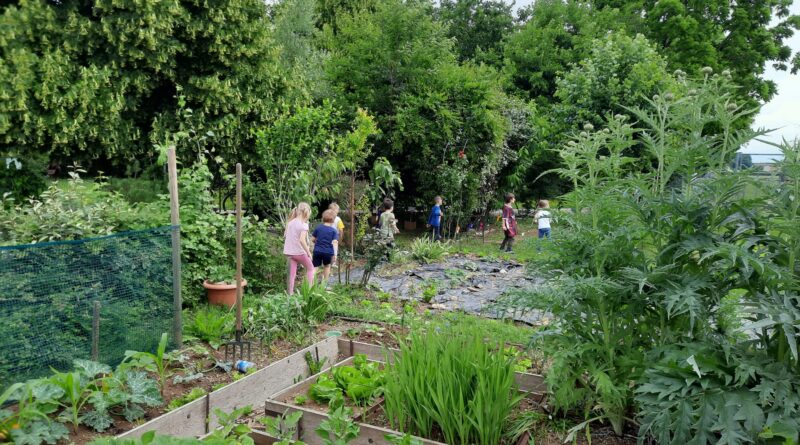 Quattro passi nella sezione dell'orto urbano