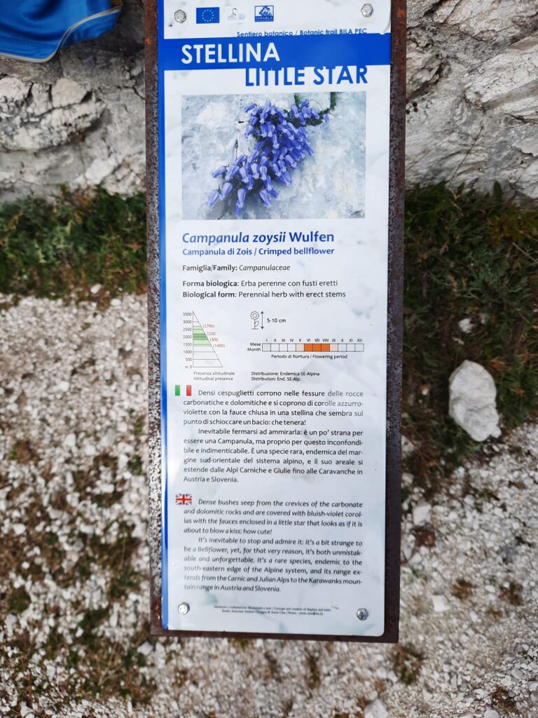 4 - I cartelli esplicativi durante il percorso