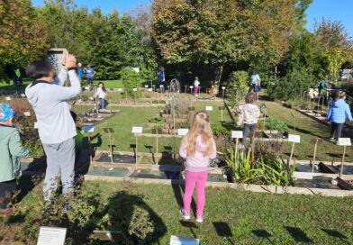 1 - Alla ricerca delle foglie nascoste