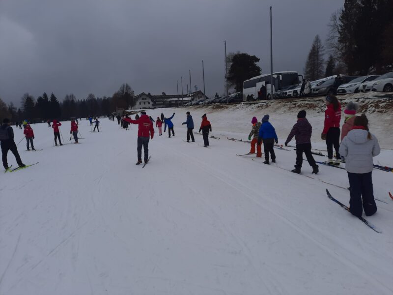 2 - Il gruppo dei medi