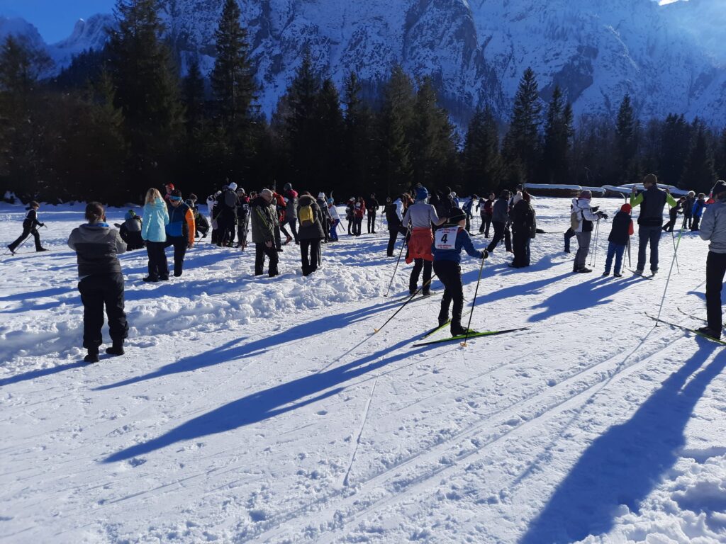 3 - Il gruppo dei medi