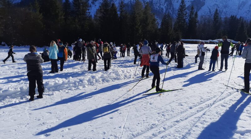3 - Il gruppo dei medi