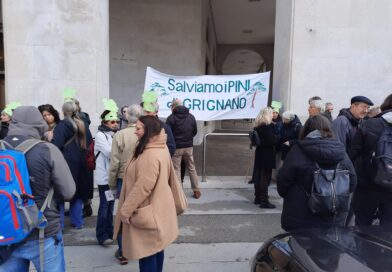 Il flashmob al palazzo della Regione