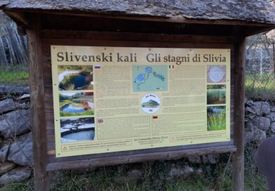 Gli stagni ddi Slivia, utilizzati per secoli sia per la popolazione, sia per gli animali