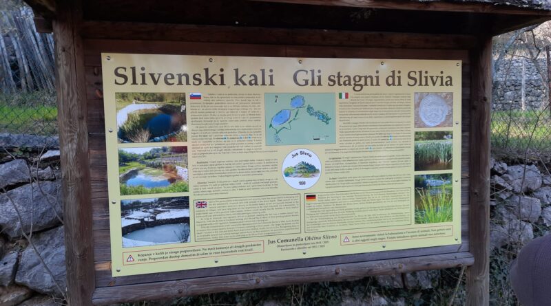 Gli stagni ddi Slivia, utilizzati per secoli sia per la popolazione, sia per gli animali