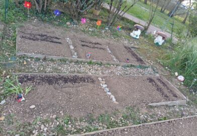 L'aiuola della scuola Mazzini