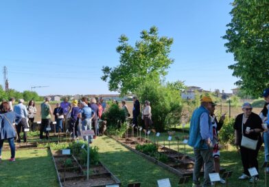 03 - La visita guidata alla sezione delle piante