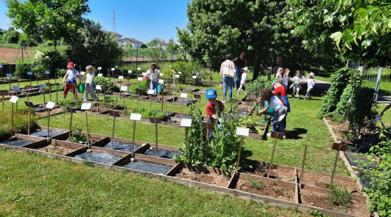 2 - La visita alla sezione delle piante alimentari