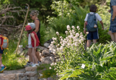 Convegno di Pediatria di Montagna a Trento – 30 maggio 2026