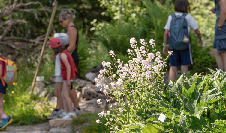 Convegno di Pediatria di Montagna a Trento – 30 maggio 2026