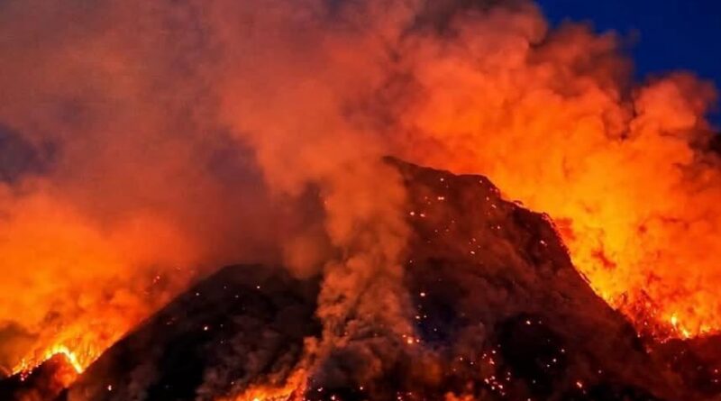 Alcuni consigli da ISDE-Medici per l’Ambiente per i residenti nelle zone dell’incendio in Carnia