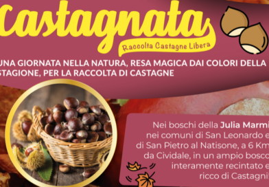 Castagnata nel bosco Julia Marmi a Clastra