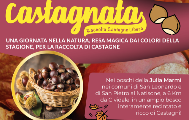 Castagnata nel bosco Julia Marmi a Clastra